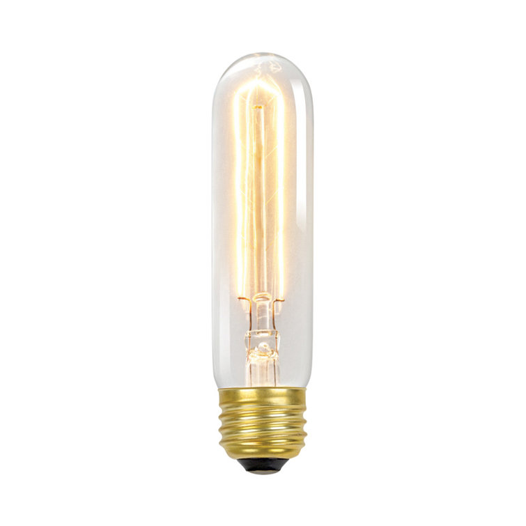 Birch Lane™ Marion 60 Watt, T10 Incandescent, Dimmable Light Bulb, Warm
